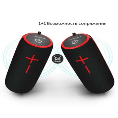 Колонка Hopestar P21